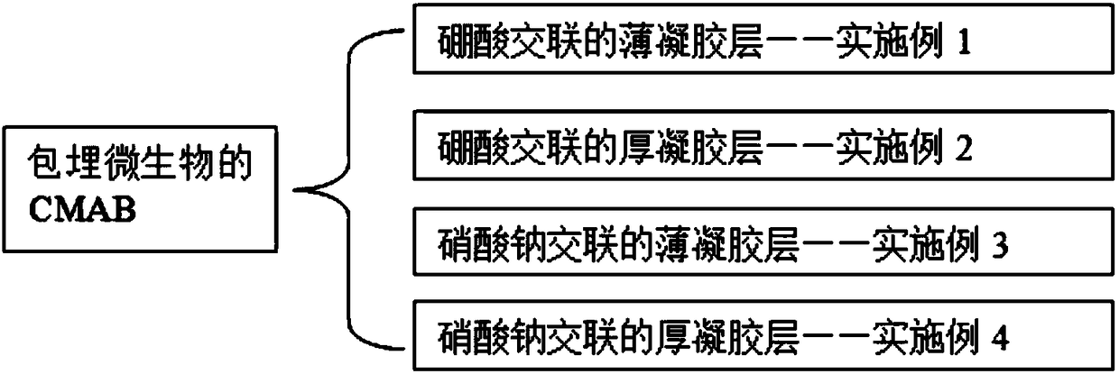 Flat membrane rapid suspension method by using embedded microbe gel and special coating apparatus