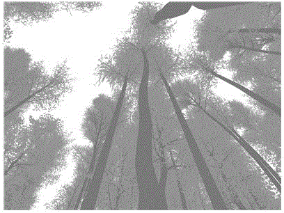 Verification method for indirect measurement of ground leaf area index