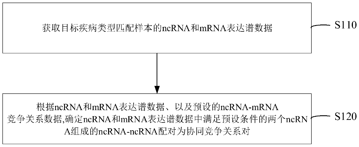 NcRNA collaborative competition network identification method and device