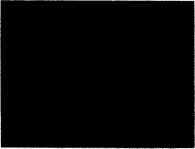 Composite microsphere containing hydroxyapatite and preparing method thereof