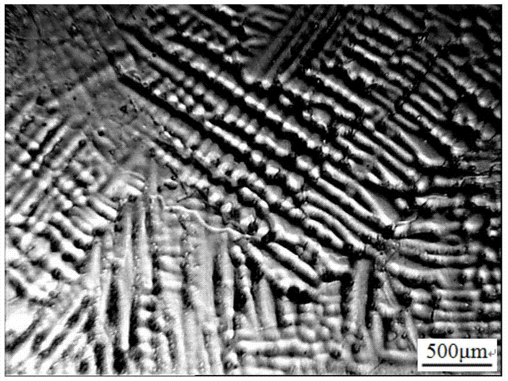 An etchant and etching method for displaying solidified dendrite structure of medium and high-grade non-oriented silicon steel