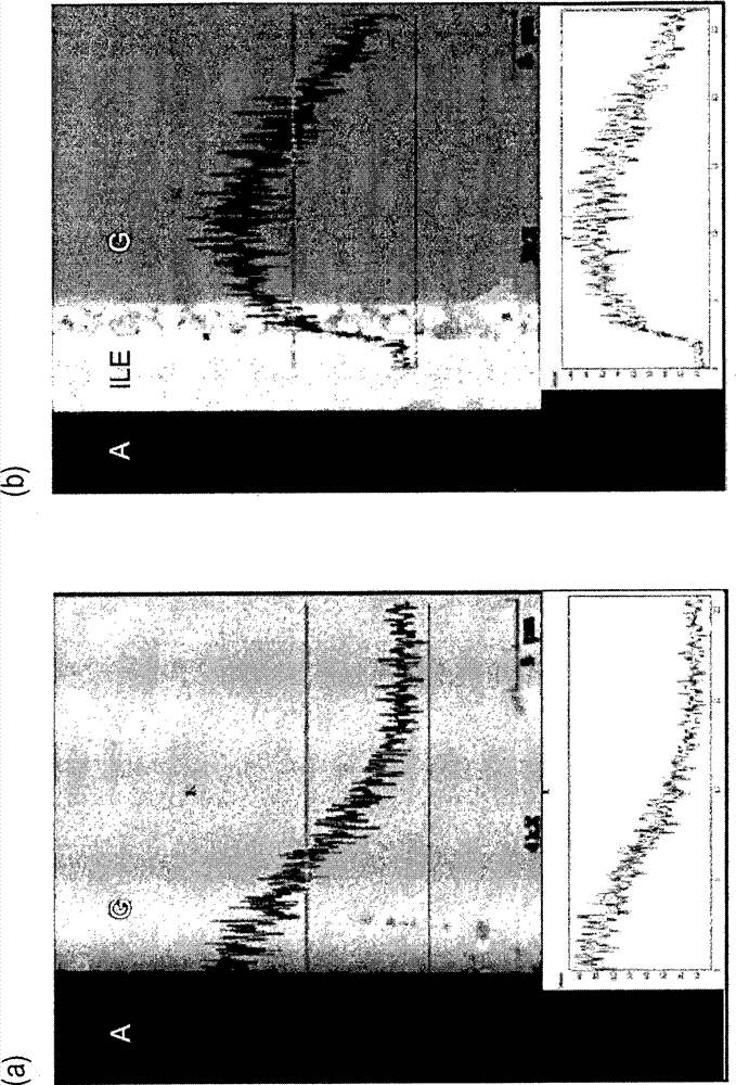 Lamina for light-emitting device and its preparation method