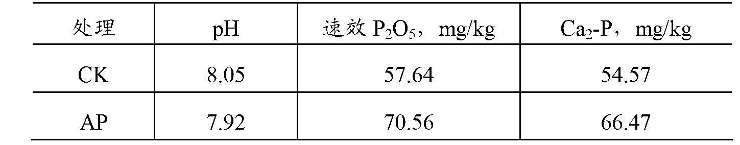 Algae synergistic ammonium phosphate fertilizer and preparation method thereof