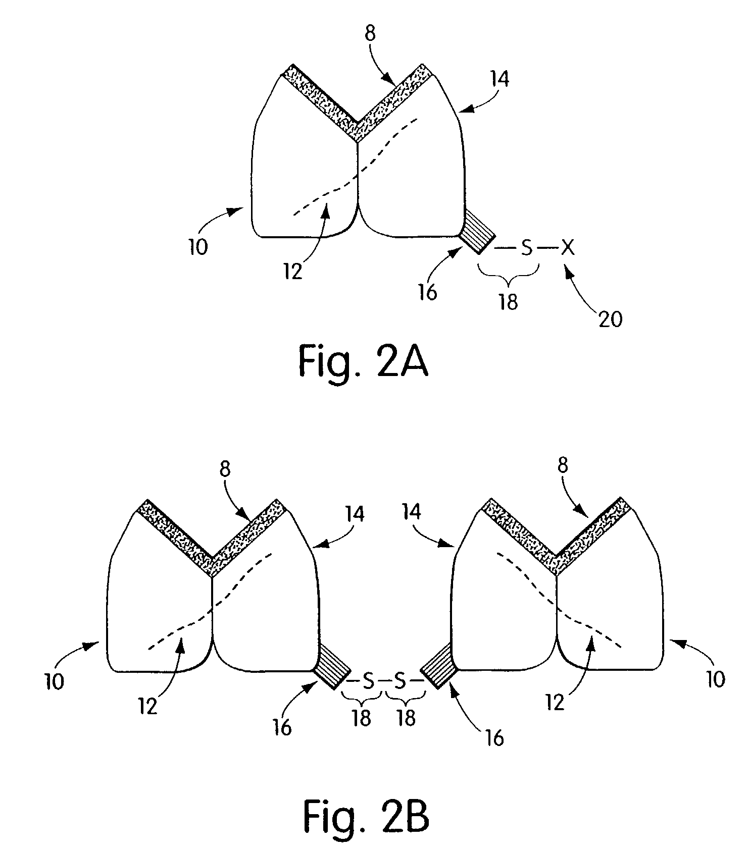 Biosynthetic binding proteins for immuno-targeting