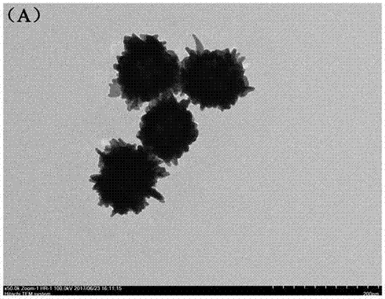 Method for detecting MG based on Au-Ag NPs composite material