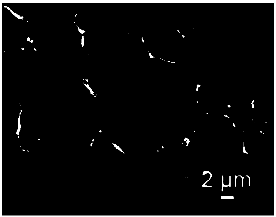 Preparation method of cobalt nitrogen co-doped biomass carbon oxidation reduction catalyst