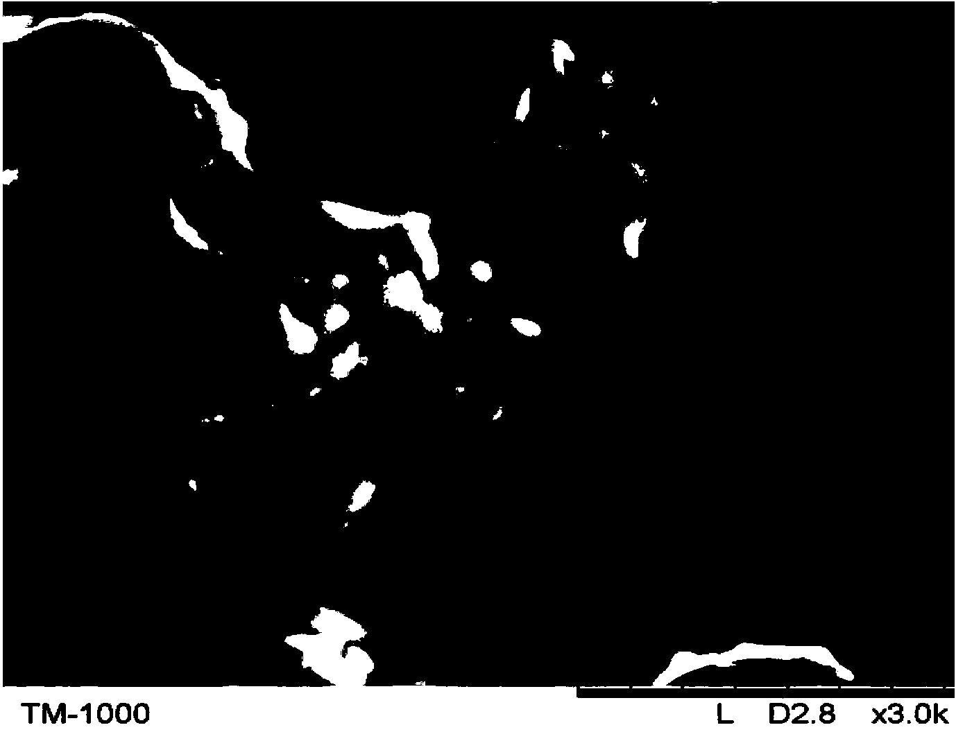 Coating size composition for thermosensitive discoloring and energy storing textile and coating preparation method