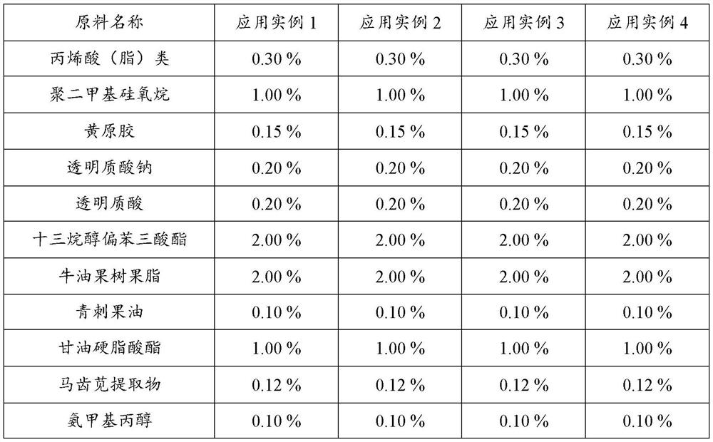 Illicium verum plant preservative and bacteriostatic composition as well as preparation process and application thereof