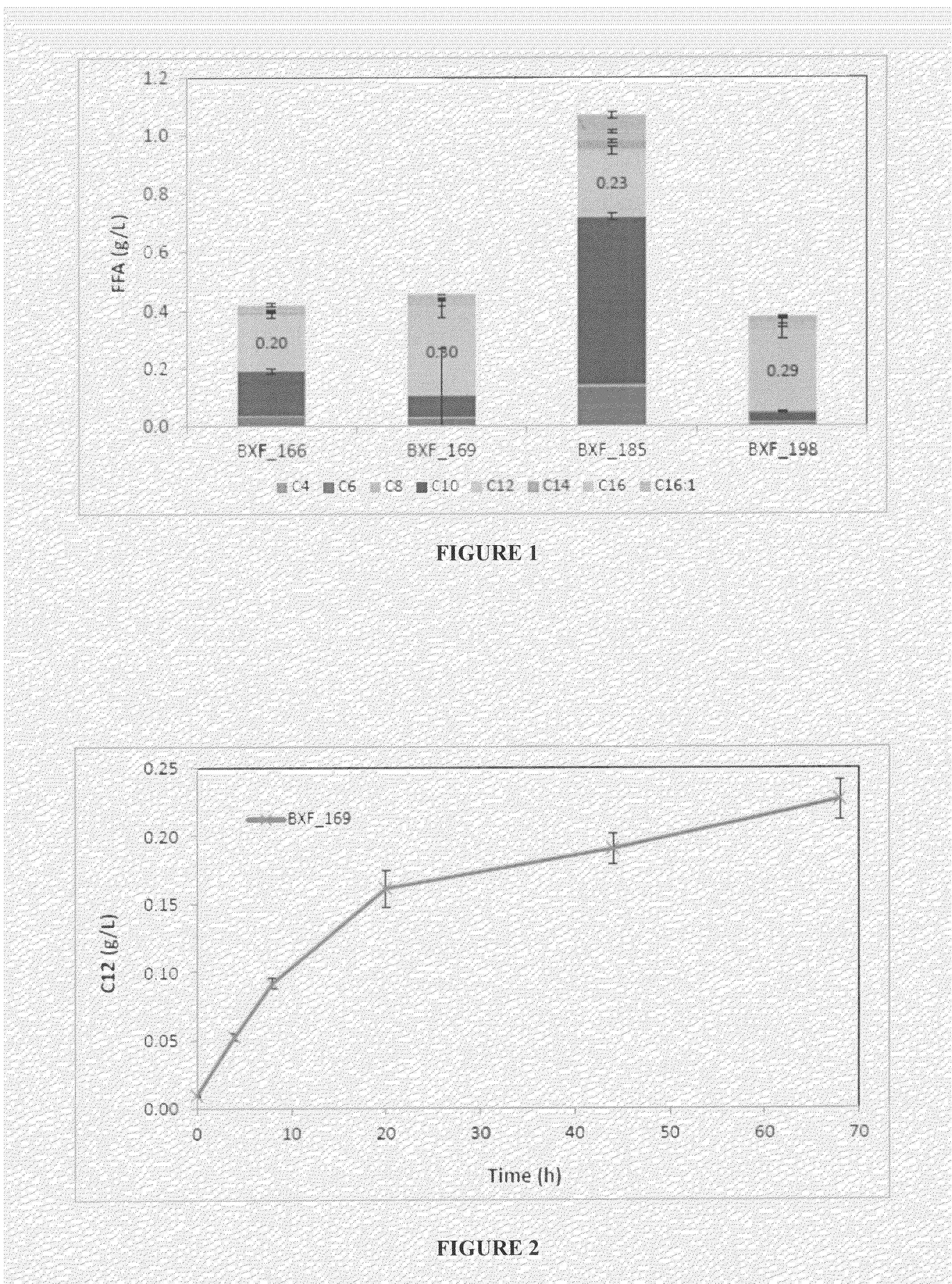 Production of fatty acids esters