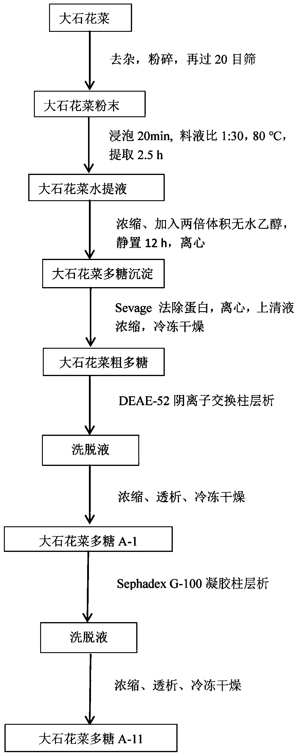 Preparation method and structural part characterization of a polysaccharide from Dashiliu cauliflower with immunomodulatory effect and its application