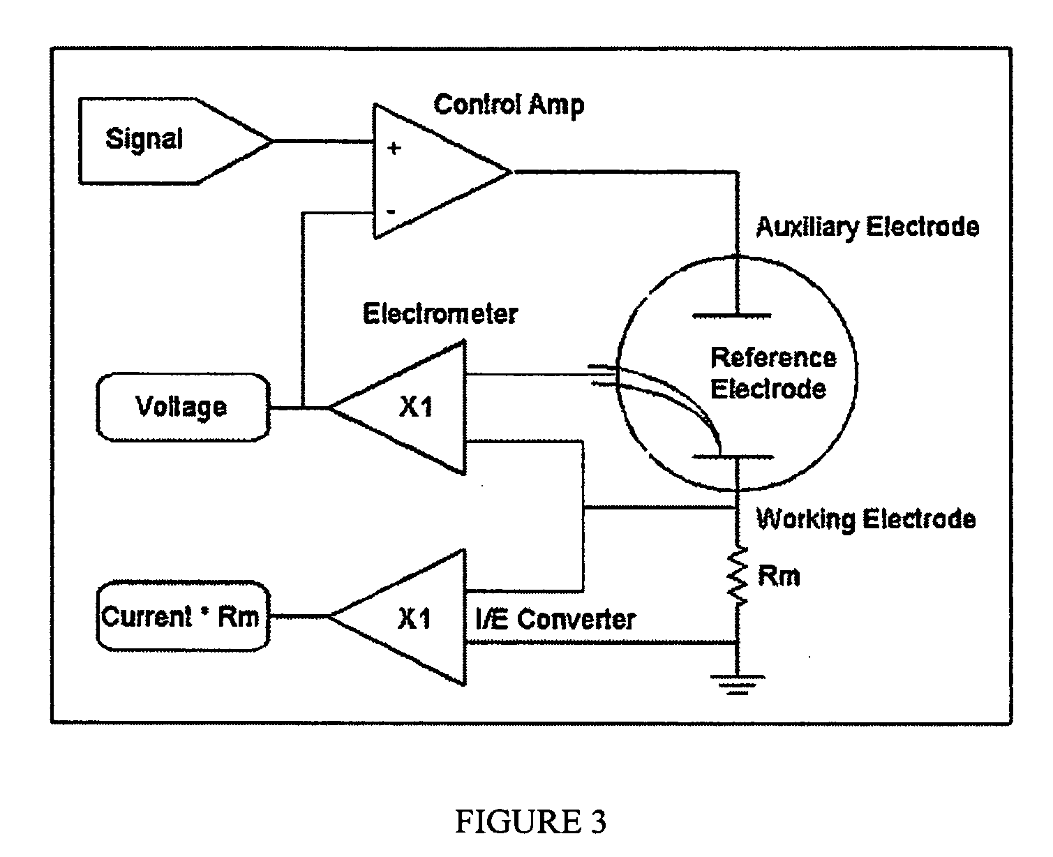 Matrix array nanobiosensor