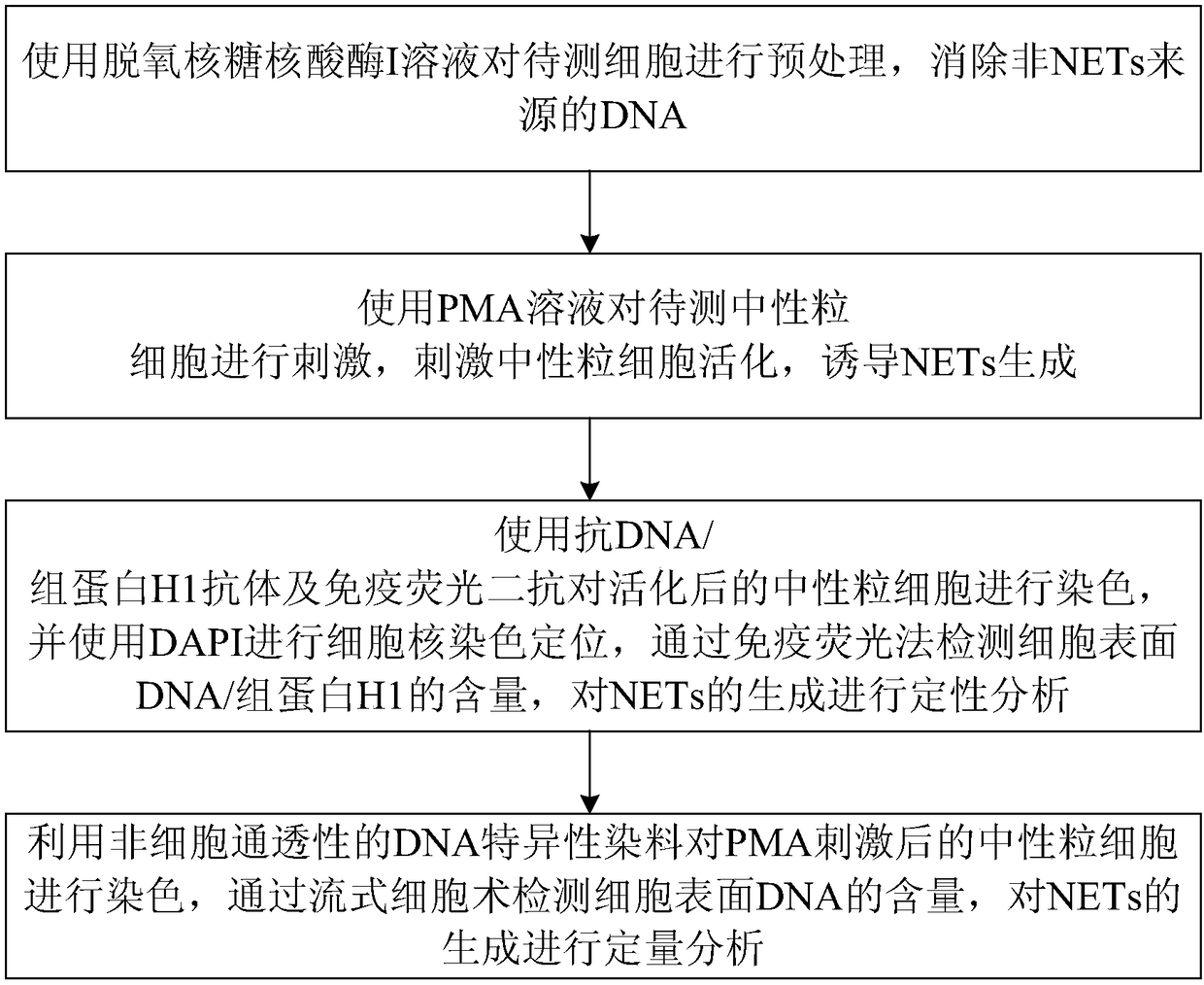 Kit and method for detection of NETs (neutrophil extracellular traps)