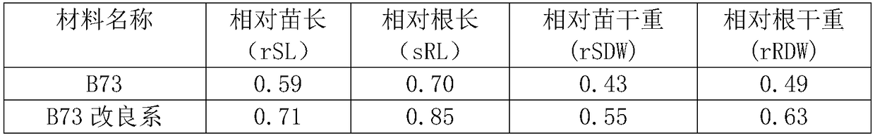 A method for cultivating cold-resistant maize varieties using maize allopolyploid