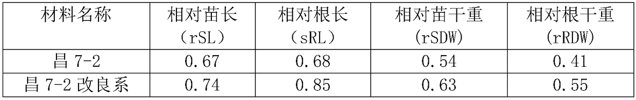 A method for cultivating cold-resistant maize varieties using maize allopolyploid