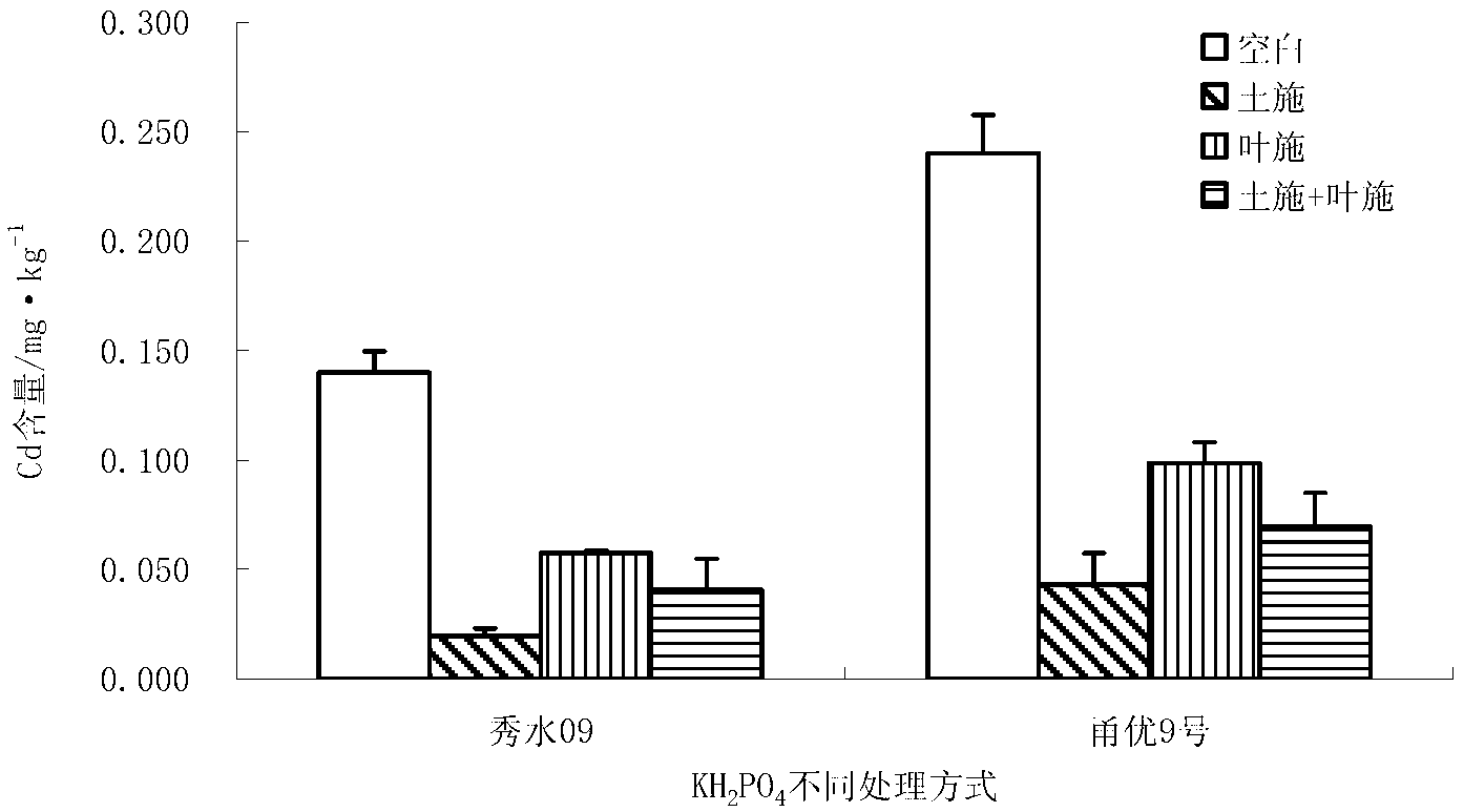 Application of monopotassium phosphate to reduce rice cadmium accumulation