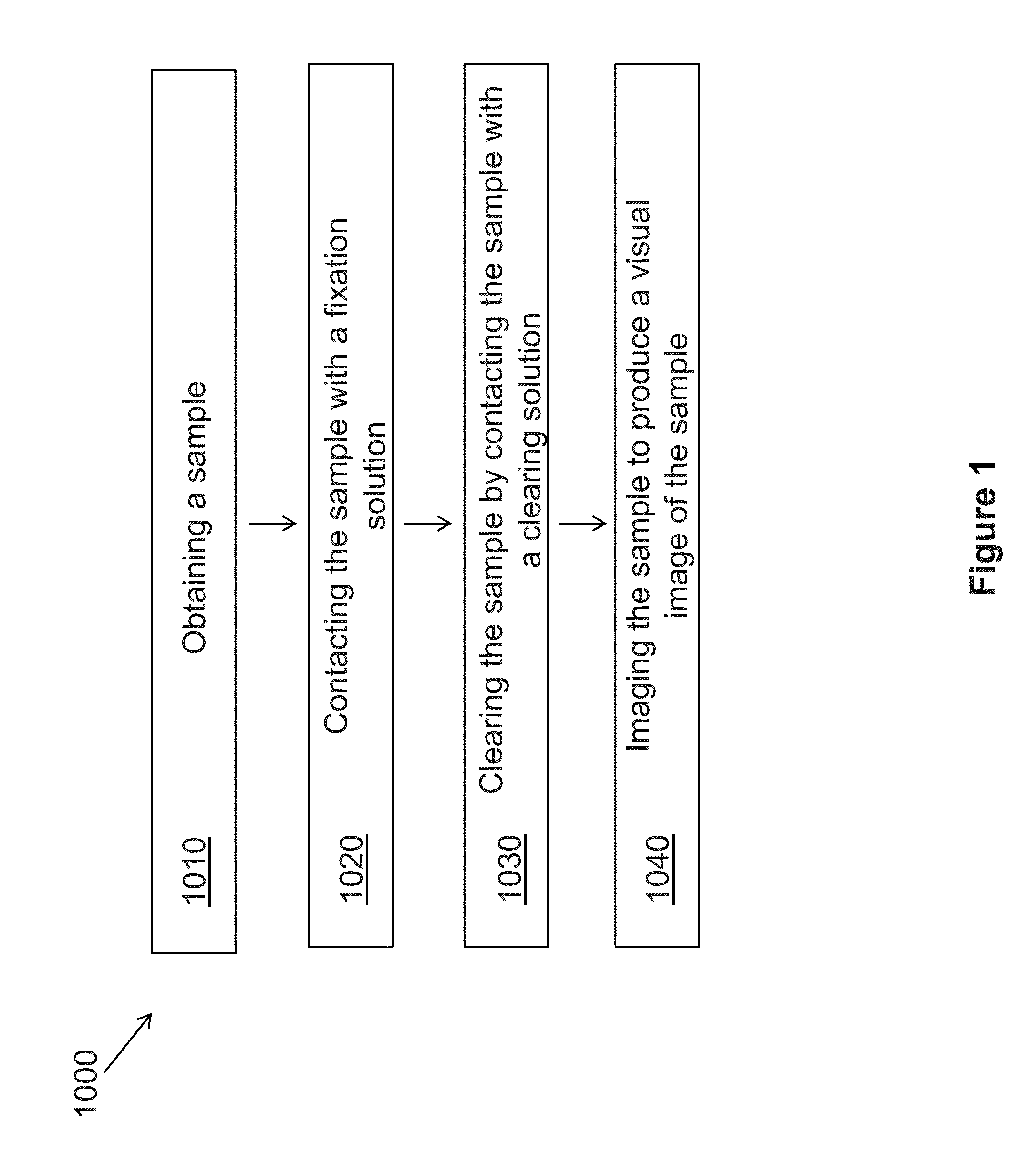 Novel Methods of Tissue Processing and Imaging