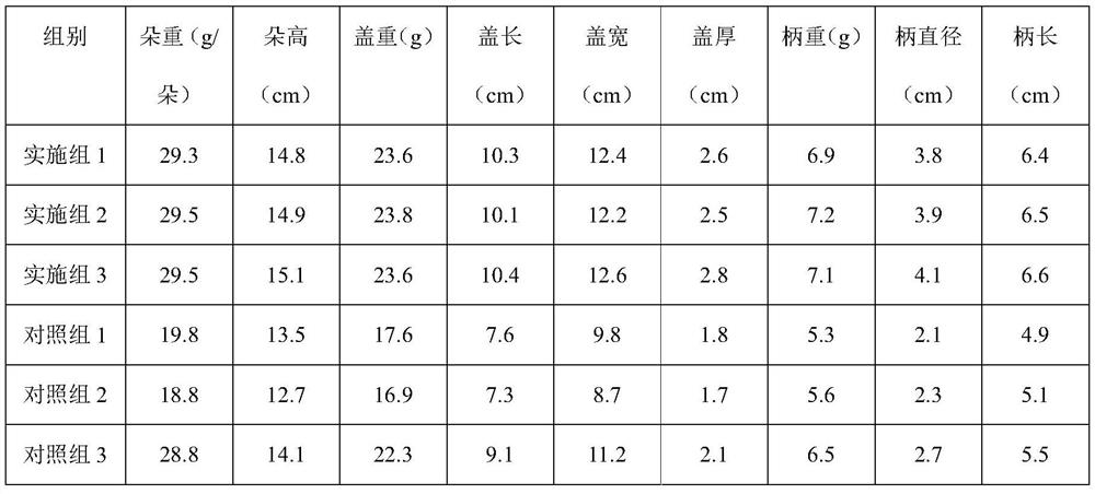 Pleurotus geesteranus edible fungus cultivation and culture method