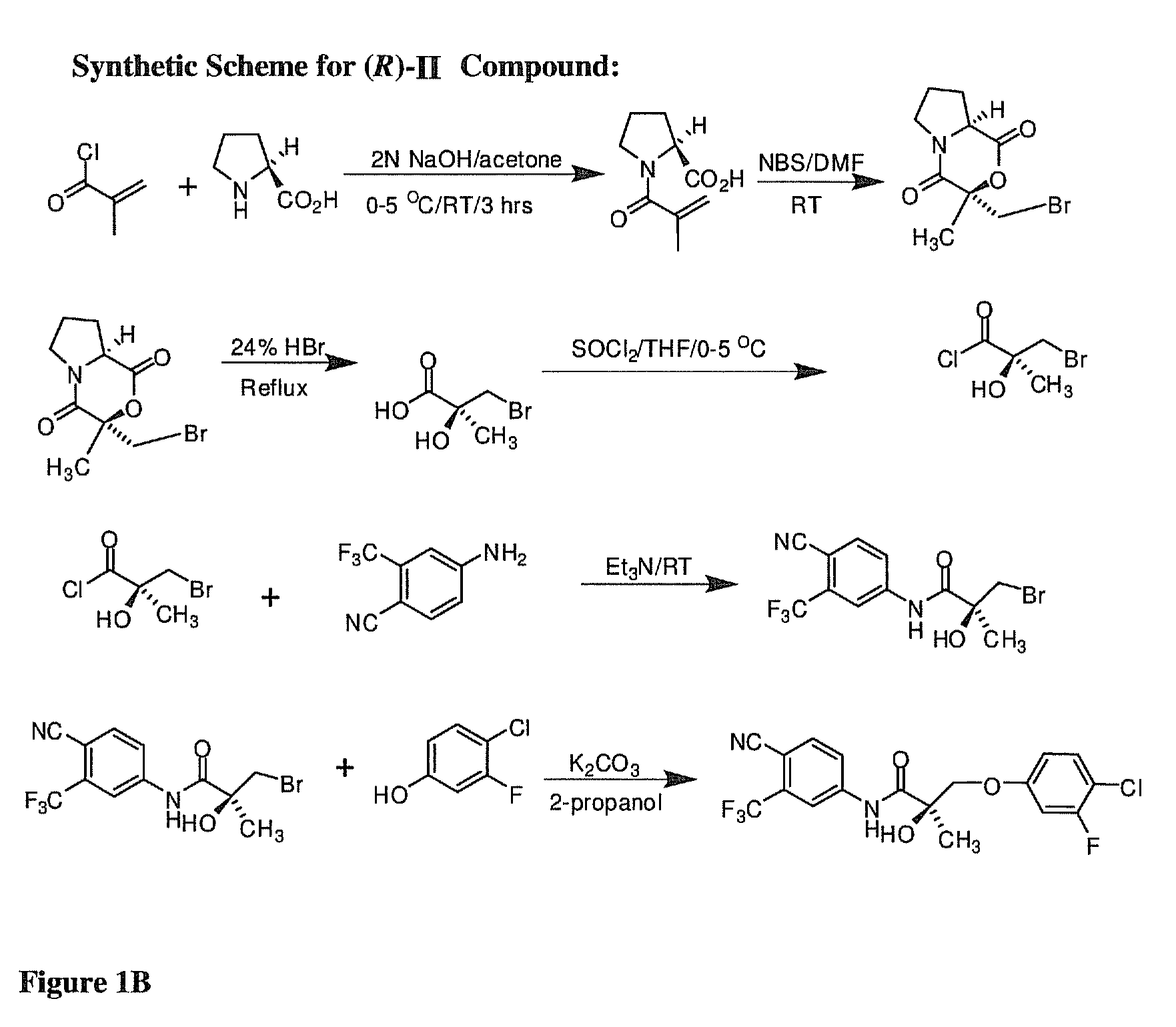 SARMs and method of use thereof