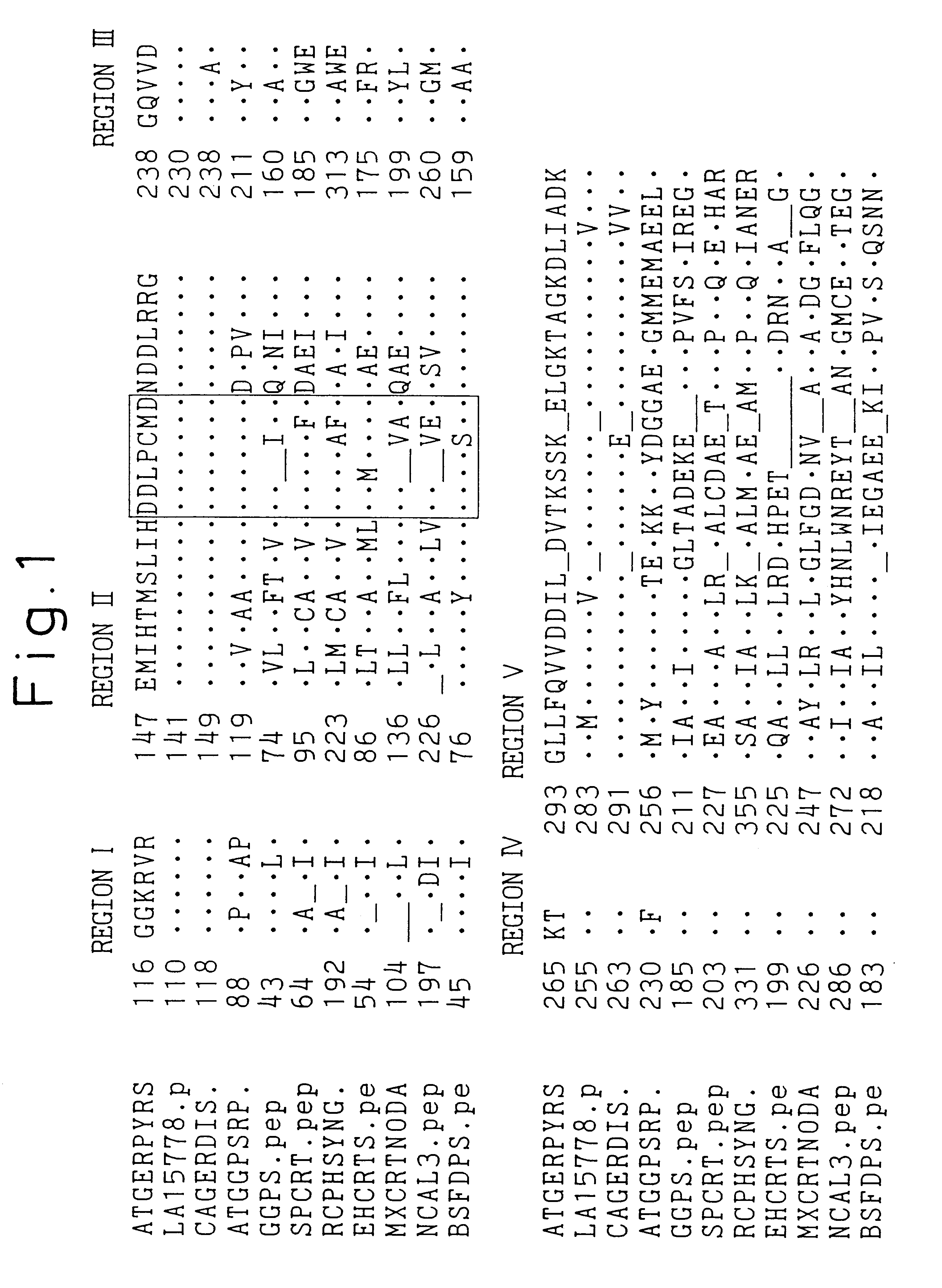 Mutated prenyl diphosphate synthases