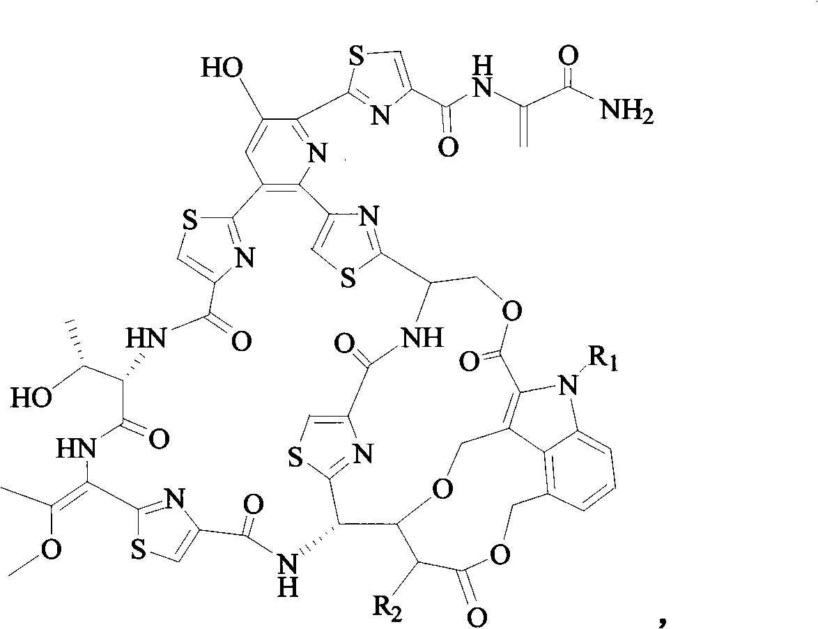 Pharmaceutical composition containing nocathiacin antibiotics