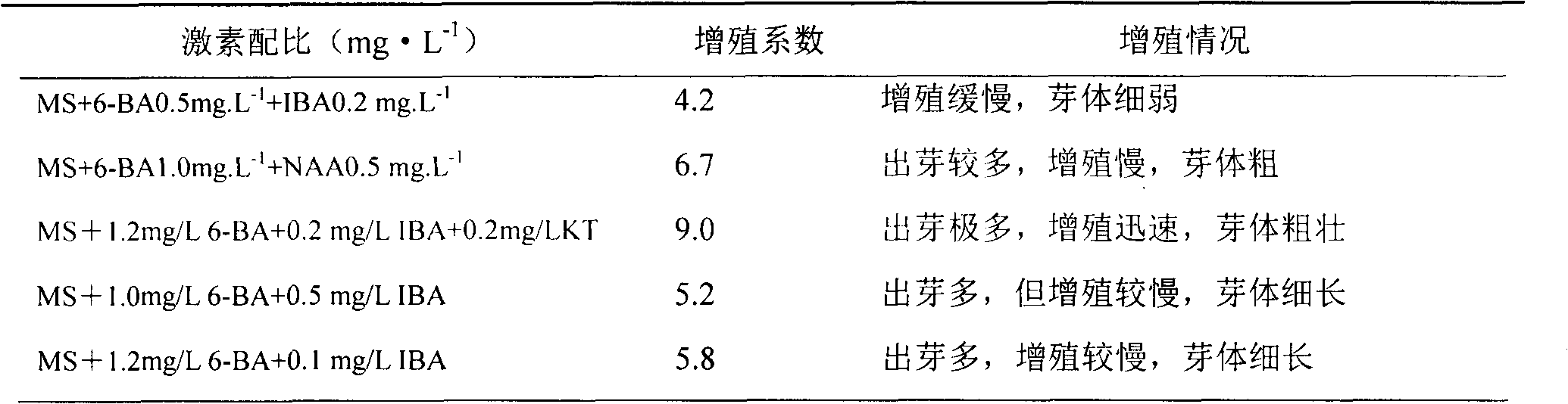 Method for building leaf in vitro regeneration system of begonia rex