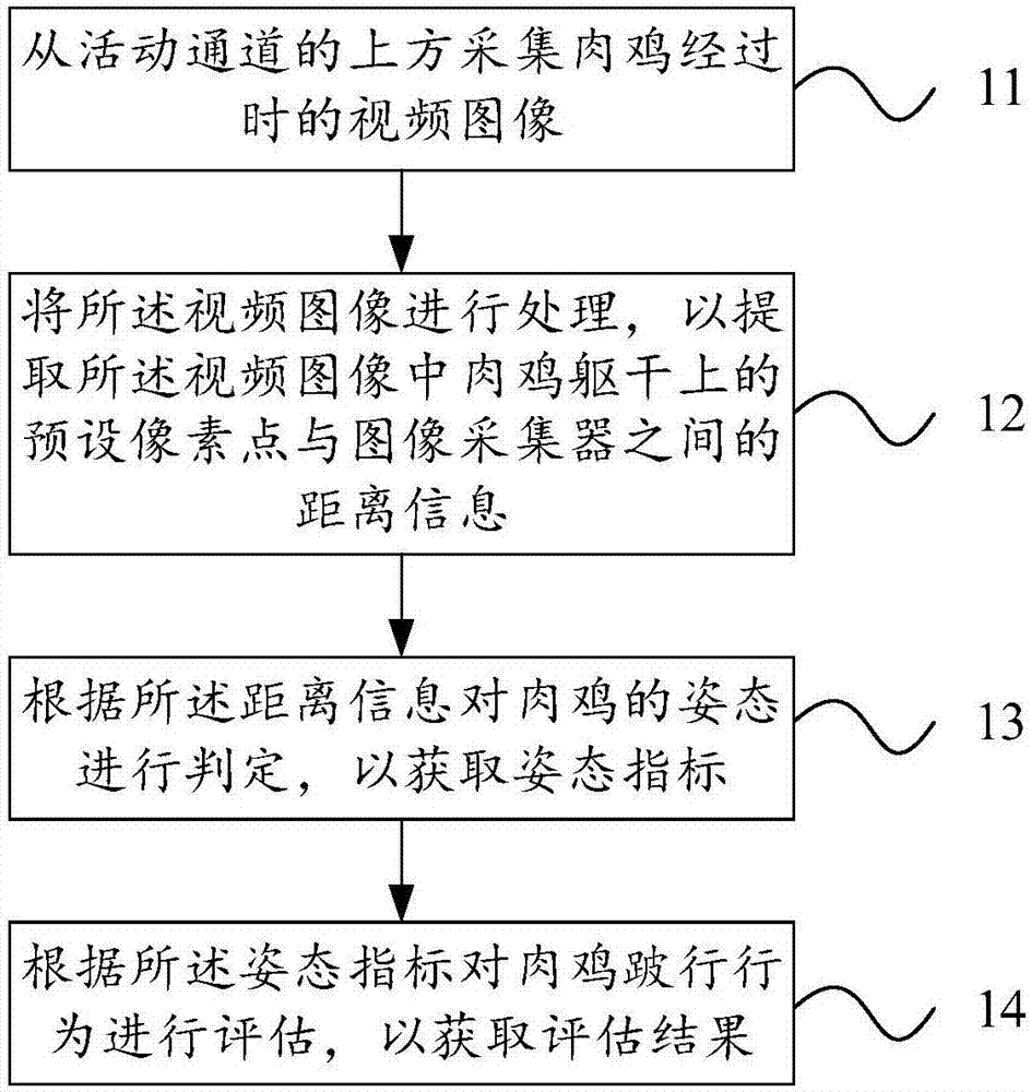 Automatic monitoring method and device for limping of broiler chickens