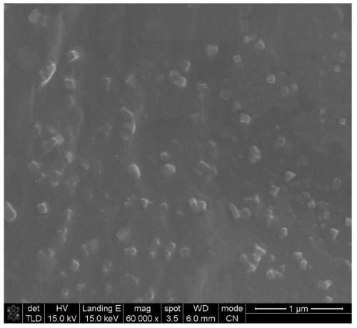 Synthesis method for nanoparticles capable of treating autoimmune hepatitis