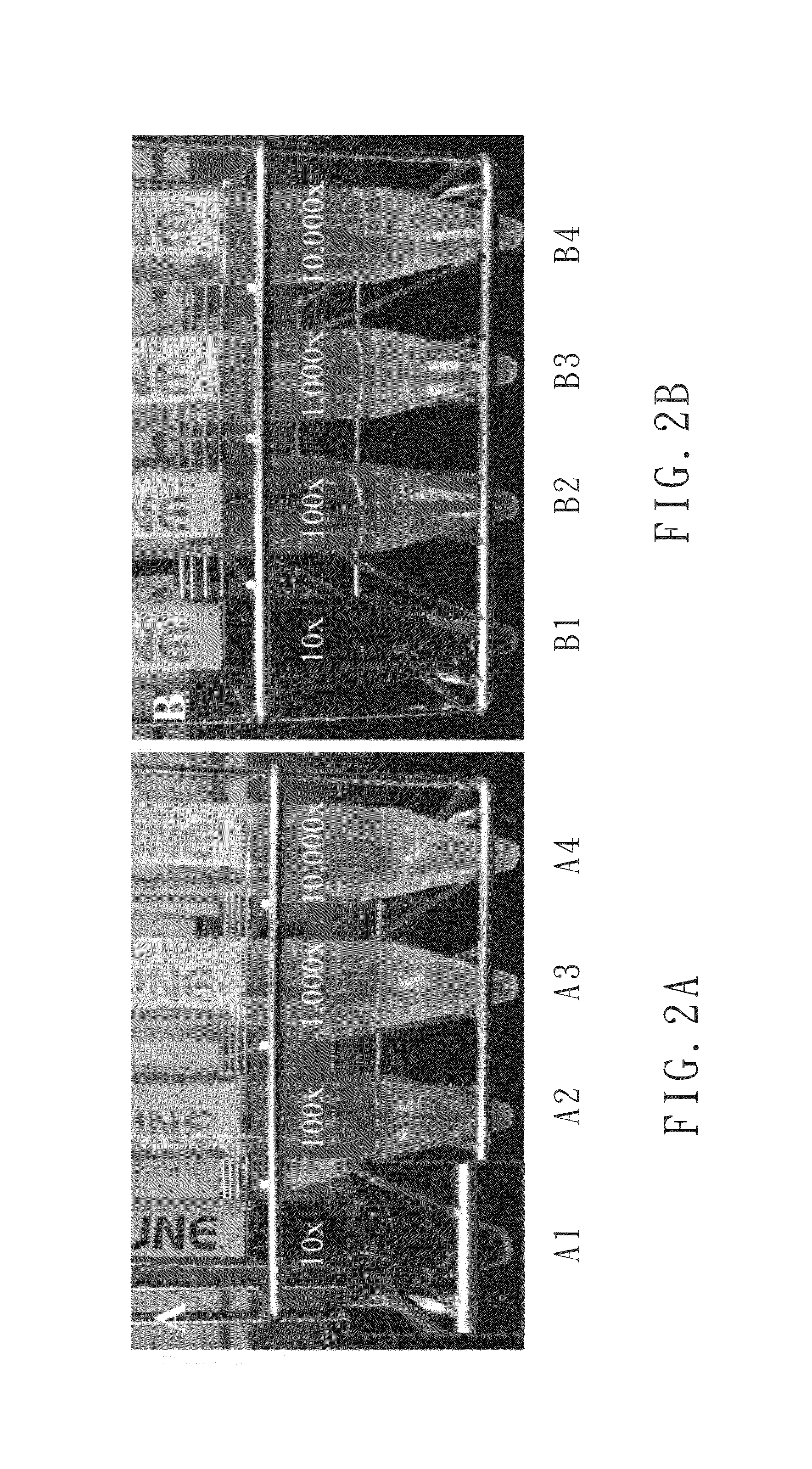 Method for analyzing mushrooms