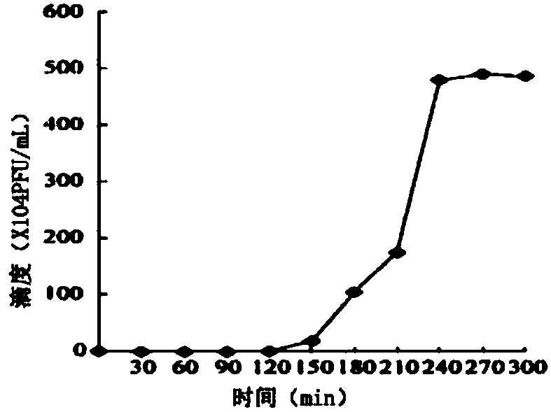 Preparation and application of mycobacteriophage lyase Lysin-Guo1