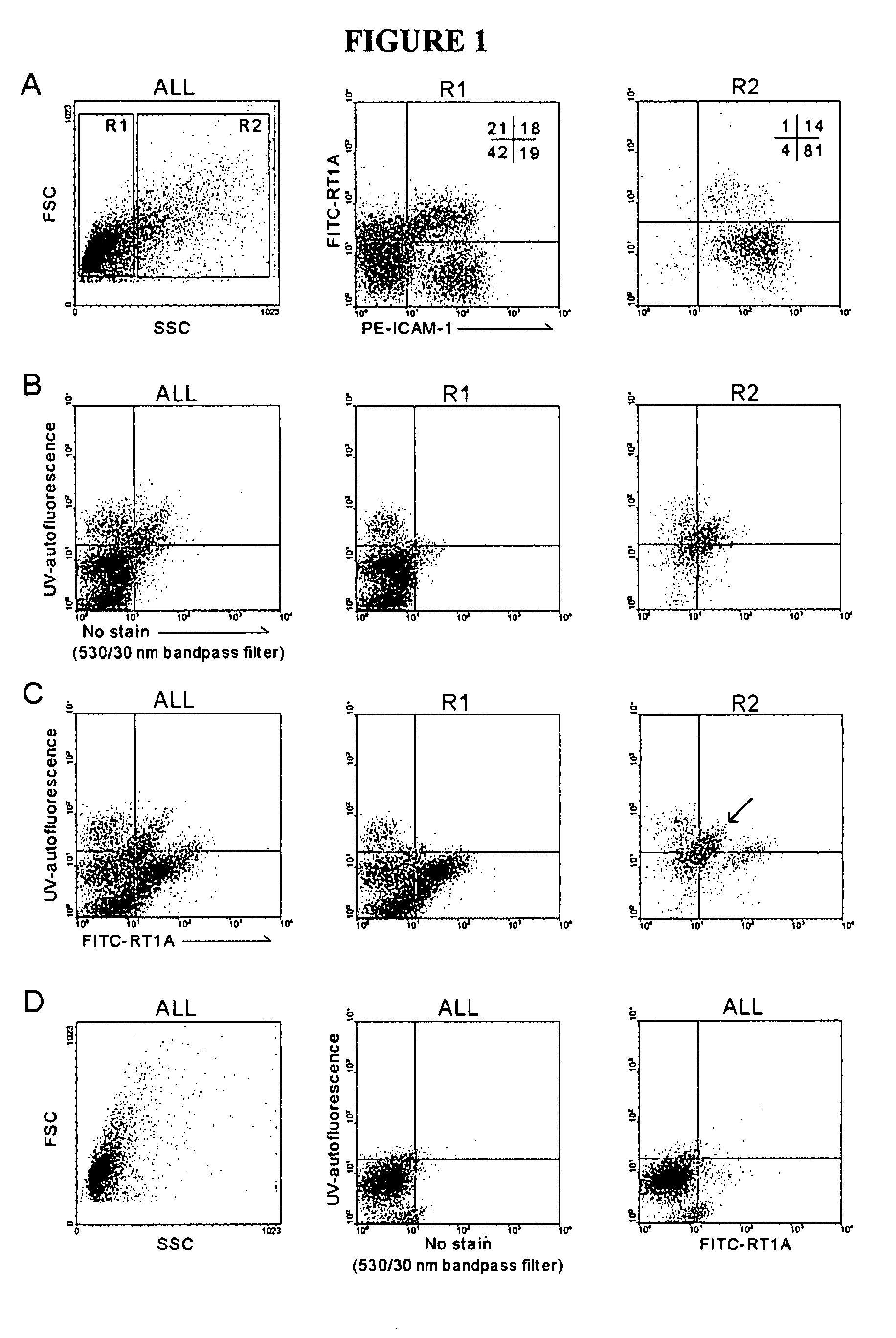 Hepatic stellate cell progenitors and methods of isolating same