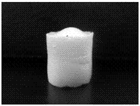 A kind of bone tissue engineering scaffold material and preparation method thereof