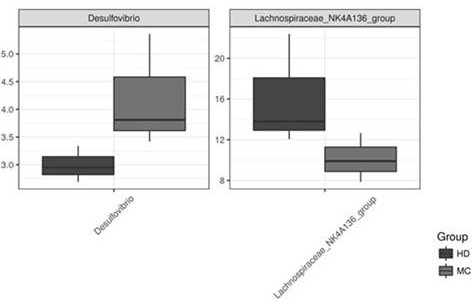 Durian peel polysaccharide, its extraction method and its application in the preparation of drugs for regulating intestinal flora and/or treating functional constipation