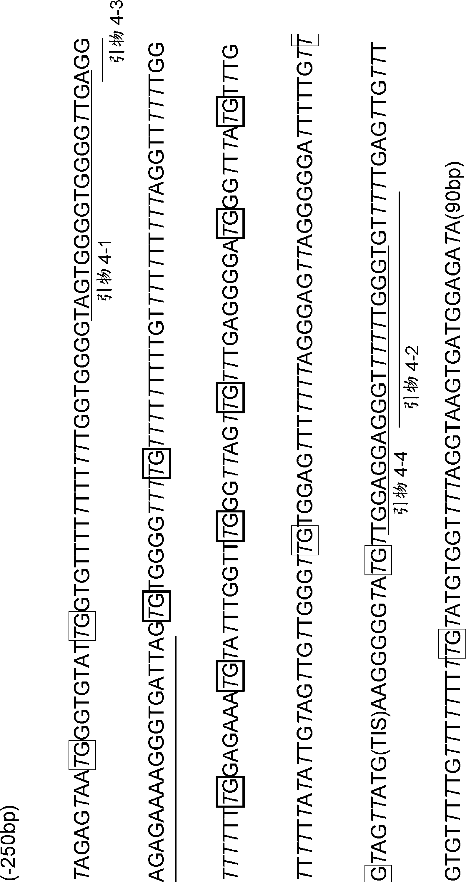 Method for diagnosing type of pancreatic tumor