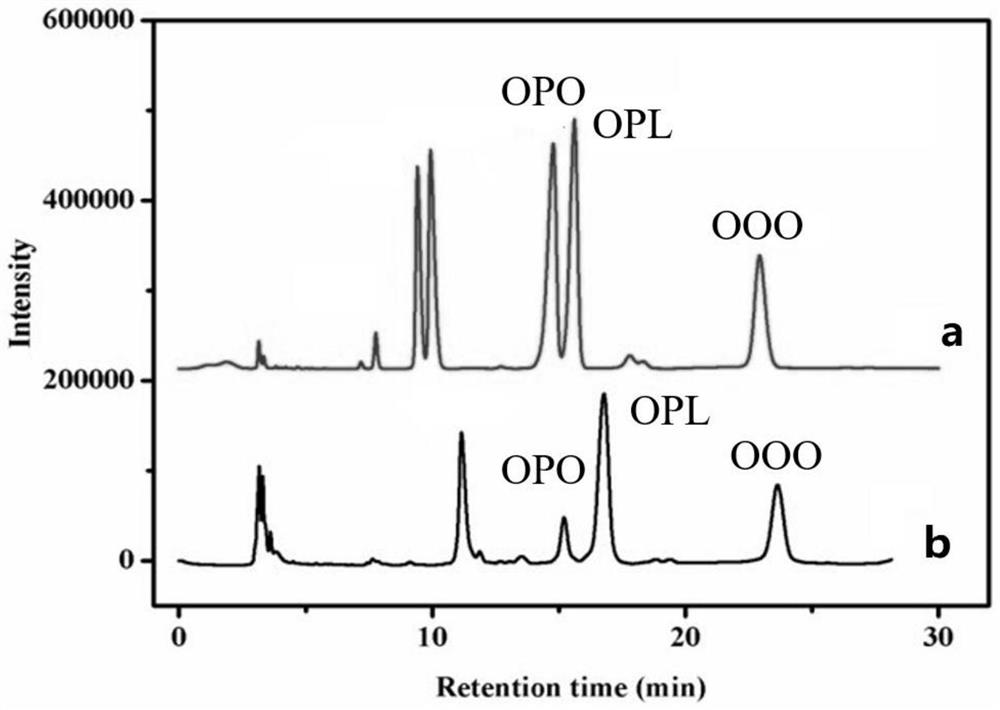 Preparation method of grease rich in OPL and OPO and product thereof