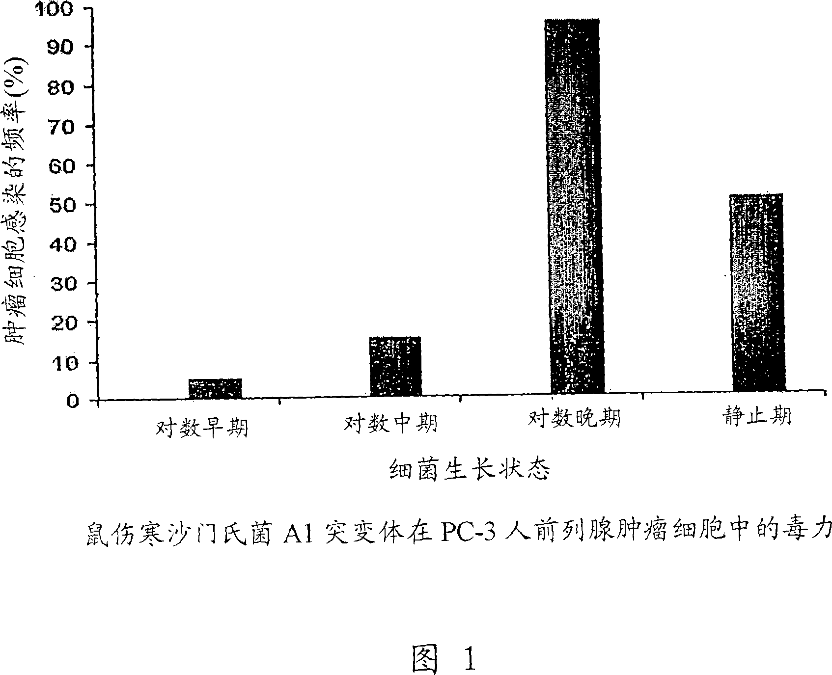 Cancer selective auxotrophs