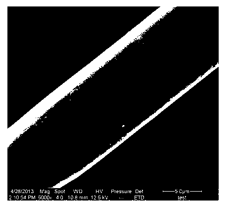 Method for preparing super-hydrophobic super-oleophylic cotton