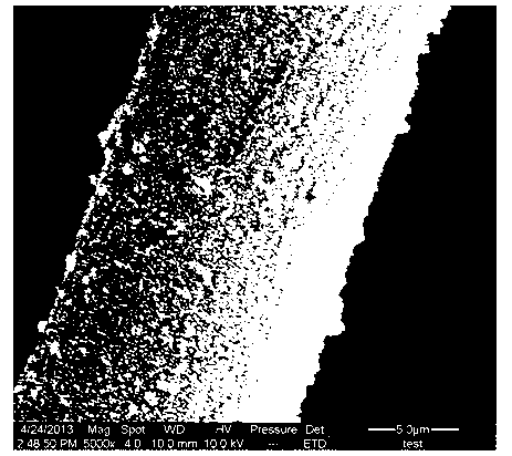 Method for preparing super-hydrophobic super-oleophylic cotton