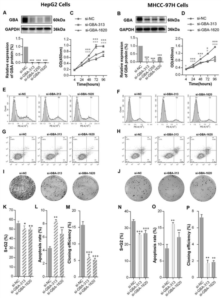 Application of reagent targeting biomarker in preparation of medicine for relieving/treating liver cancer