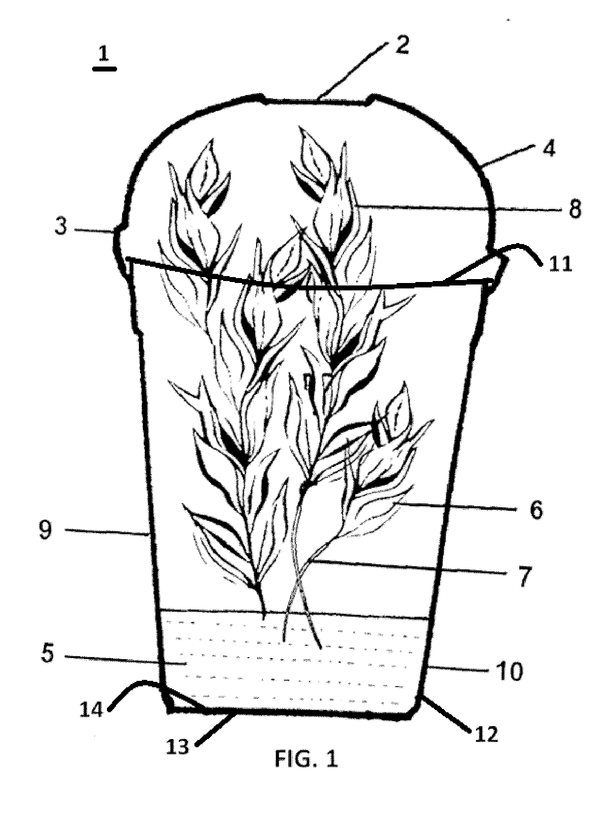 System to package and transport fresh cut produce