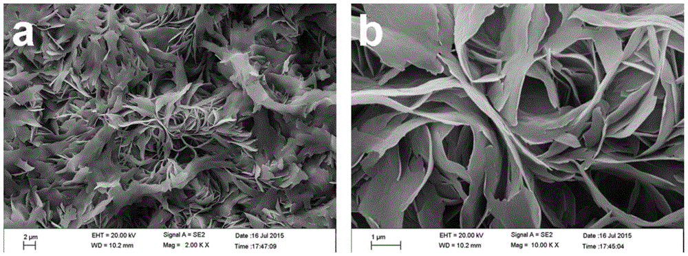 Preparation method for forming calcium-containing nanosheet film layer on surface of sandblasted and acid-etched titanium