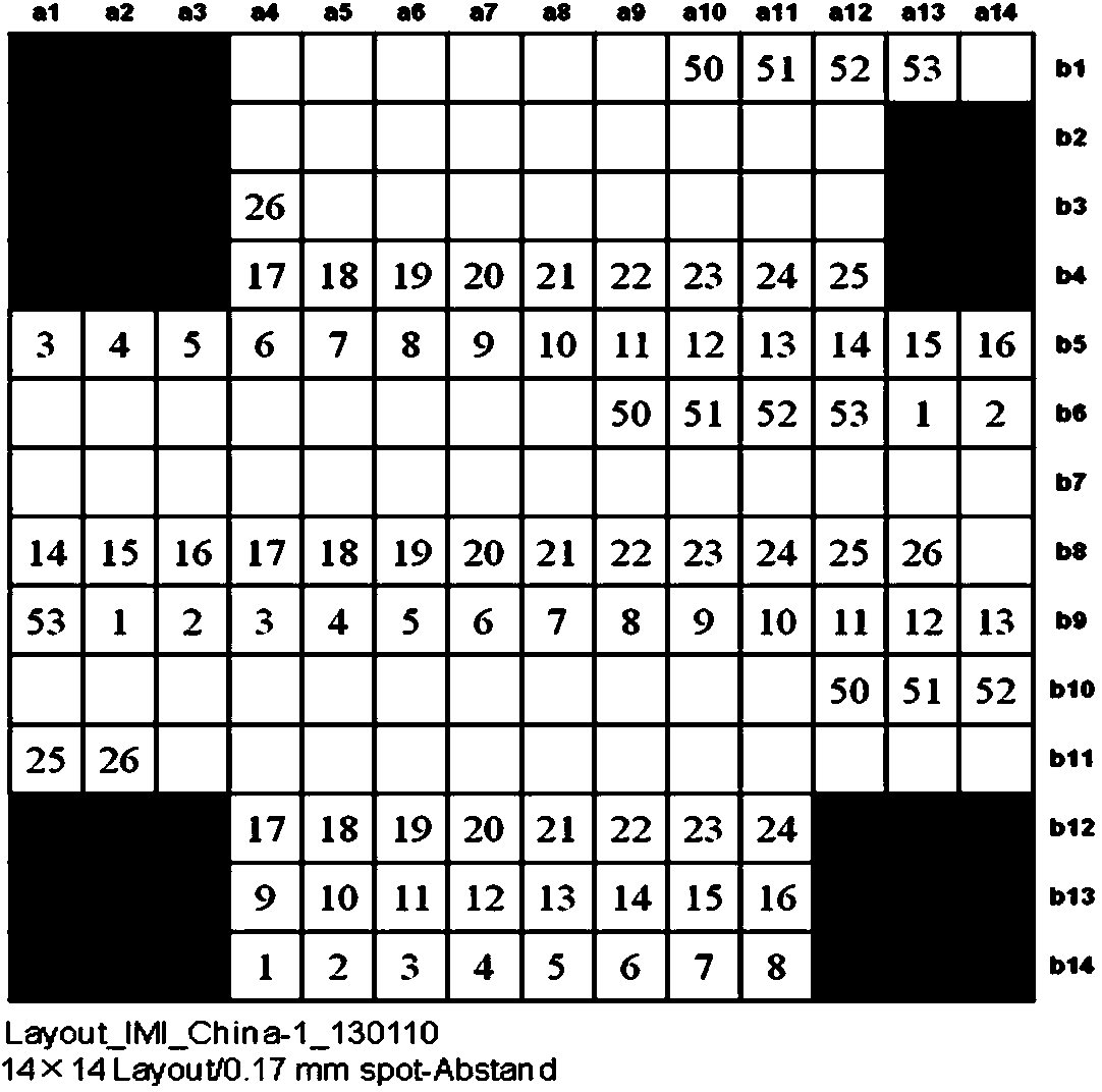 Gene chip for detecting pathogenic fungi of poplar canker and application thereof