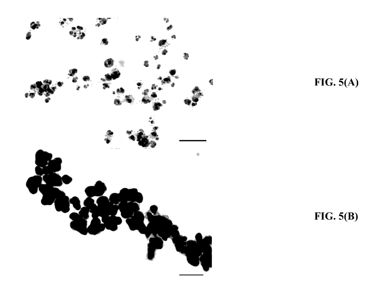 Polydopamine functionalized cellulose nanocrystals (pd-cncs) and uses thereof