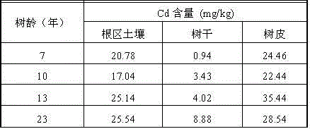 Method for repairing heavy metal cadmium contaminated soil in drought regions by aid of populus hopeiensis