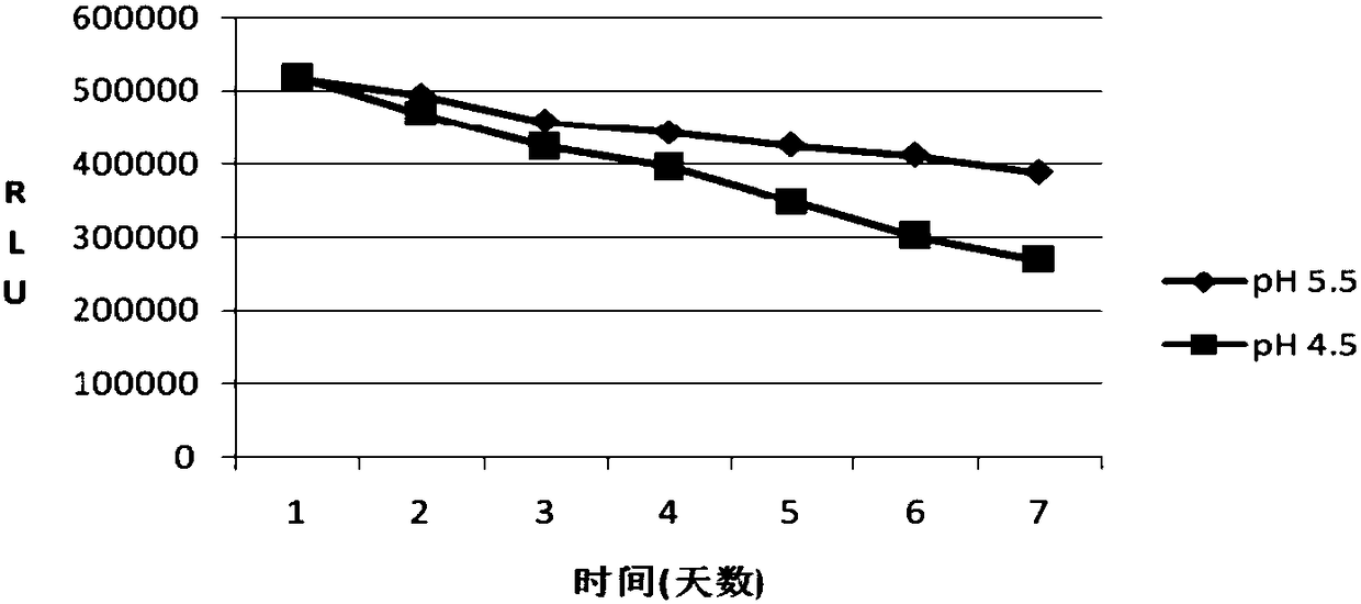 Gastrin-releasing peptide precursor diluent, and application and kit thereof