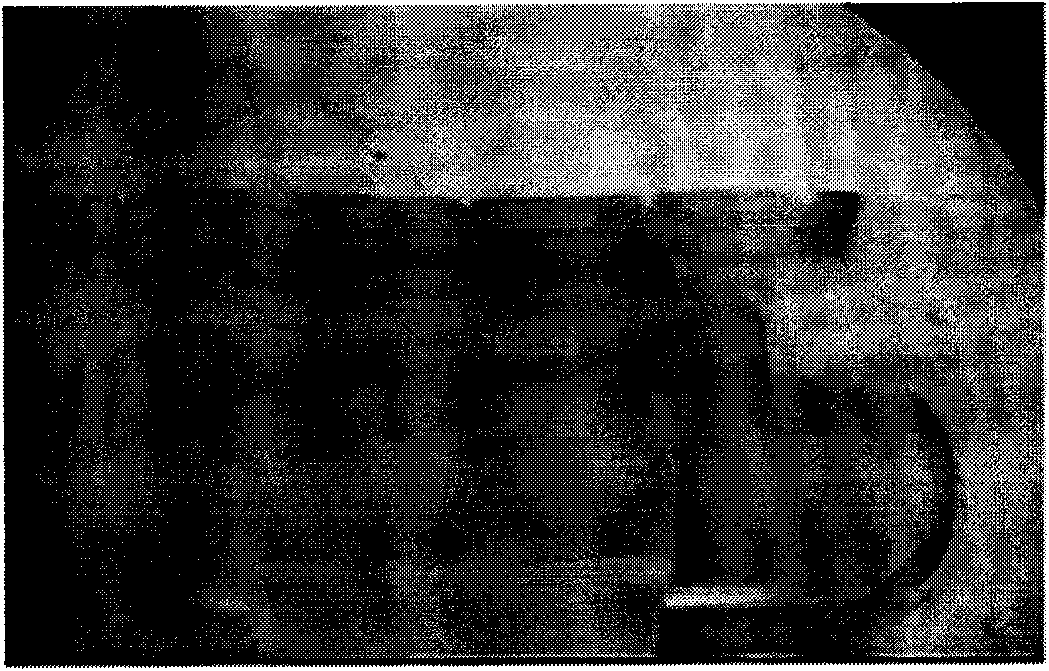 Method and device for synchronously analyzing and monitoring band steel by using image identification