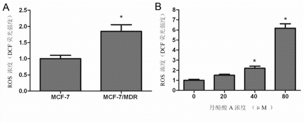 Application of salvianolic acid A in preparation of medicine for treating tumour multi-drug resistance