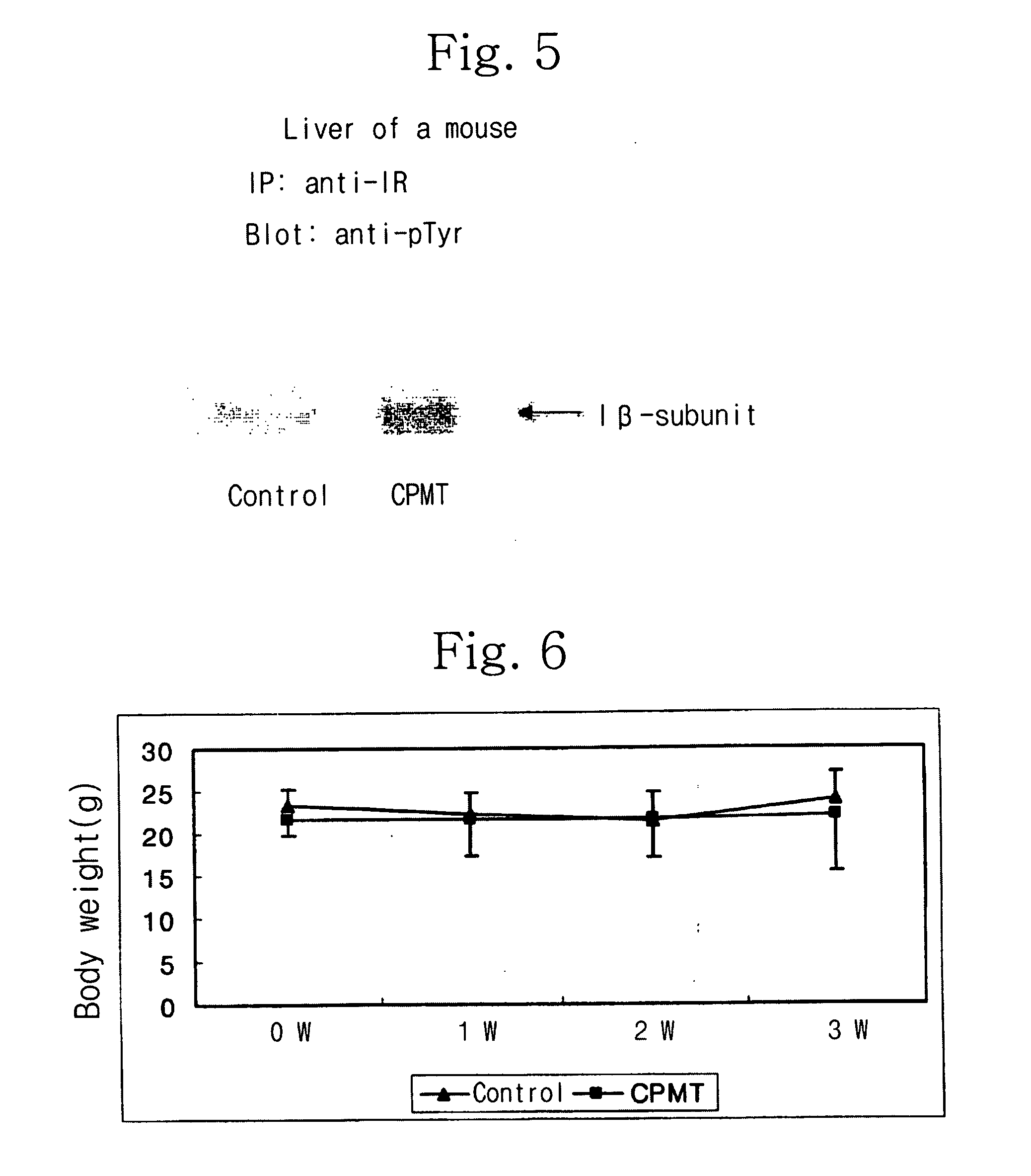 Pharmaceutical composition comprising N-aryl N' morpholino/piperidino thiocarbamide derivatives for treating and preventing diabetes, diabetic complications, insulin resistance and insulin resistance syndrome