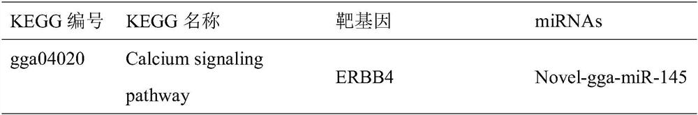 miRNAs affecting chicken growth rate and its application