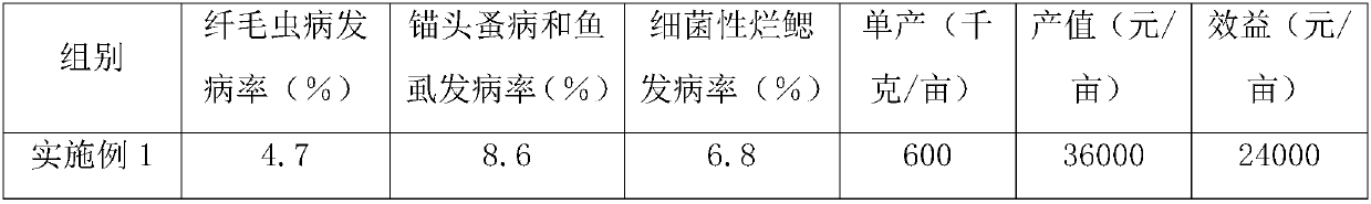 Novel mandarin fish ecological breeding technology based on high yield