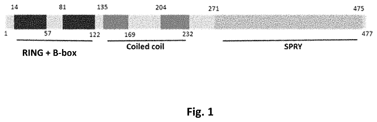 MG53 mutants, methods of making the same, and uses thereof